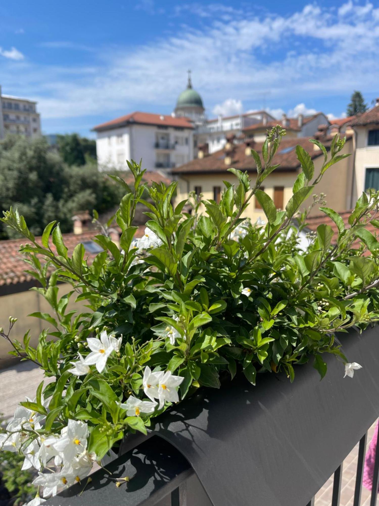 Casa Carmelo Gasthof Schio
