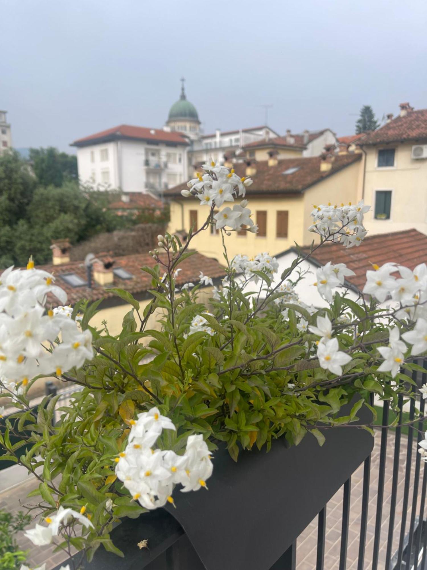 Casa Carmelo Gasthof *